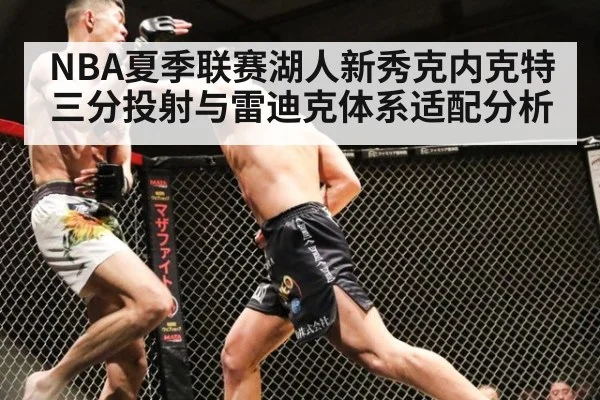 NBA夏季联赛湖人新秀克内克特三分投射与雷迪克体系适配分析