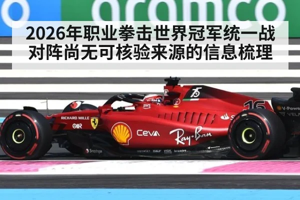 2026年职业拳击世界冠军统一战对阵尚无可核验来源的信息梳理